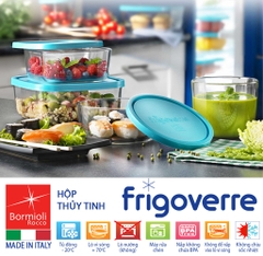 Hộp thủy tinh trữ đông Frigoverre vuông 10x10 - 240ml