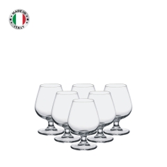 Combo 6 Ly rượu thủy tinh Globo Cognac 25cl