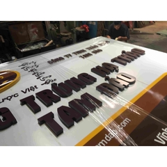 Đông trùng hạ thảo Tam Đảo