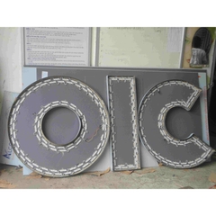 Chữ Led RICCO 2013