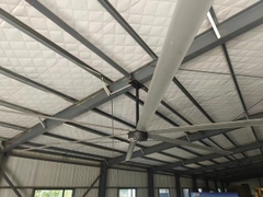 Quạt trần cánh 3.6m - 3 mét 6