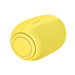 Loa Bluetooth LG XBoom Go PL2S