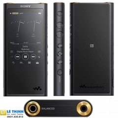 Máy nghe nhạc Hires cao cấp Sony Walkman NW-ZX300 (64GB)