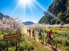 14-Day Far North Vietnam Cycling Tour – Testimonial | Tony Adventure Tour
