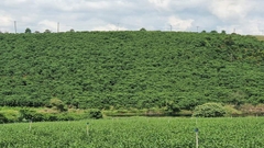 2,4ha đường 21 Lộc Quảng