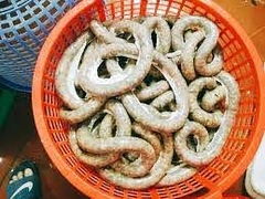 Dự án abc Lâm Hà