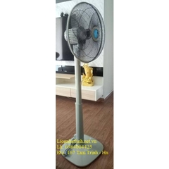 QUẠT ĐỨNG LIOA KHÔNG CÓ ĐIỀU KHIỂN VÀ HẸN GIỜ