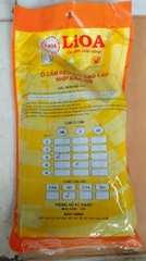 Ổ CẮM 10 LỖ LIOA 3M MÃ SẢN PHẨM 4D6S32