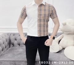 SƠMI T8032 (M-2XL)