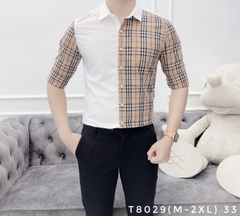 SƠMI T8029 (M-2XL)