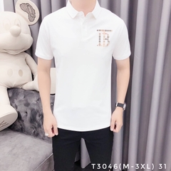 AT POLO T3046 (M-3XL)