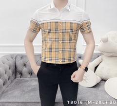 SƠMI T8016 (M-XL)