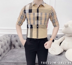 SƠMI T8022 (M-2XL)