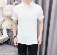 AT POLO T3050 (M-3XL)