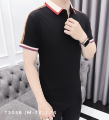 AT POLO T3058 (M-3XL)