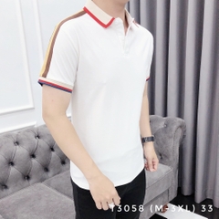 AT POLO T3058 (M-3XL)