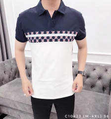 AT POLO C10423 (M-4XL)