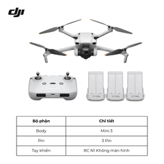 Flycam DJI Mini 3