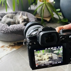 Máy ảnh Nikon Z6 II
