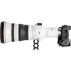 Ống kính Canon RF 800mm F5.6L IS USM