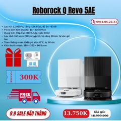 Roborock Qrevo 5AE