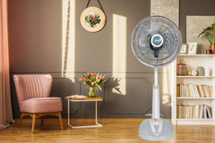 Quạt Lửng Benny BF-41SL-GY