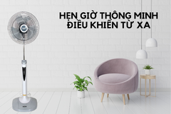 Quạt Cây Benny BF-49T