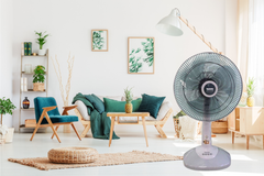 Quạt Bàn Benny BFT-46-Grey