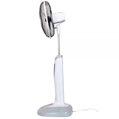 Quạt Cây Benny BF-49T