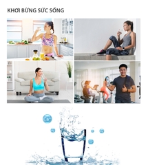 Máy Lọc Nước A. O. Smith VITA