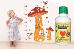 Vitamin ChildLife 473ml CANXI + MAGIE dạng sữa