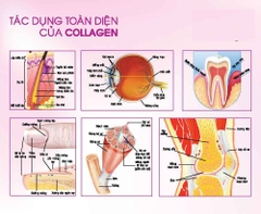 Viên uống đẹp da Collagen vitamin C chai 390 viên hãng Youtheory của Mỹ (mẫu mới)