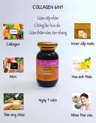 [Hàng Chuẩn Úc] Collagen SPRING LEAF 6 IN 1 Colagen, anh thảo, sữa ong chúa, nhau thai cừu, zin c, inner cấp nước