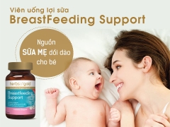 Viên Uống Lợi Sữa Herbs of Gold Breastfeeding Support Hộp 60 viên Úc