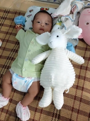 CỪU BÔNG MỀM MỊN CAO CẤP AN TOÀN, CHO CON NGỦ NGON To 40cm