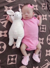 CỪU BÔNG MỀM MỊN CAO CẤP AN TOÀN, CHO CON NGỦ NGON To 40cm