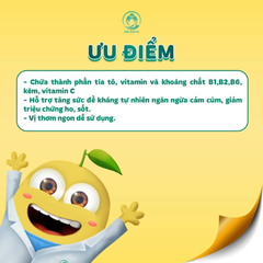 Dầu Húng Chanh Lên Men Dr.Maya Gold Giảm Ho, Cảm Cúm, Viêm Họng, Tăng Cường Hệ Miễn Dịch