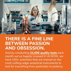 Now Sunflower Lecithin 1200mg 200 Viên Ngăn Ngừa Tắc Tia Sữa Thông Sữa Hiệu Quả Cho Mẹ Sau Sinh 2026 – Now Sunflower Lecithin 1200mg Bổ Sung Lecithin Từ Hướng Dương Tự Nhiên Không GMO An Toàn Giảm Tắc Sữa Tăng Sữa Mẹ Chính Hãng Mỹ Giá Rẻ