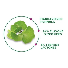 Viên Uống Bổ Não TruNature Ginkgo Biloba 340 Softgels 2026 – Viên Uống TruNature Ginkgo Biloba 120mg Bổ Sung Chiết Xuất Lá Bạch Quả Tăng Cường Trí Nhớ Tập Trung Tuần Hoàn Máu Não Giảm Mệt Mỏi Chóng Mặt Ù Tai An Toàn Không GMO Không Gluten Chính Hãng Mỹ Costco Giá Rẻ