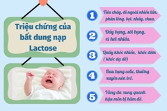 Sữa Aptamil Gold + Lactose Intolerance 800g Chính Hãng 2025: Review Chi Tiết, Giá Bán, Thành Phần, Lợi Ích, Cách Pha Cho Bé Sơ Sinh Không Dung Nạp Lactose, Dị Ứng Lactose