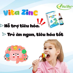 Kẽm Hữu Cơ Nhỏ Giọt Vita ZinC VitaLife 30ml – Bổ Sung Kẽm Cho Bé Ăn Ngon, Tăng Đề Kháng, Hỗ Trợ Phát Triển 2026 Chính Hãng Giá Rẻ