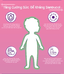 Siro Sambucol tăng cường sức đề kháng (120ml) 1 - 12 tuổi