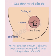 Bộ Phụ Kiện Tiêu Chuẩn Dành Cho Máy Hút Sữa Spectra (Phễu Size 24)