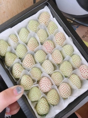 Dâu Bạch Tuyết Đà Lạt sz 30 (hộp 250gr)