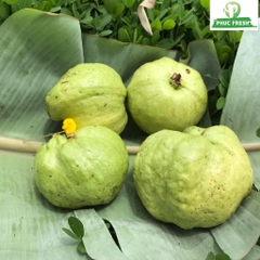 Ổi nữ hoàng