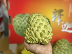 Na Đài Loan