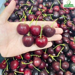 Cherry Mỹ CMI size 9