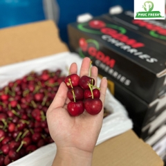 Cherry Mỹ GDM size 9