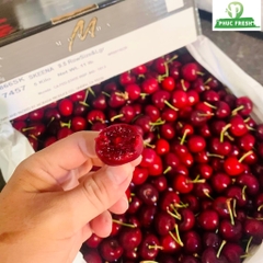 Cherry Mỹ Morada size 9