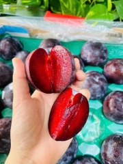 Mận Úc (Mận ruột đỏ)